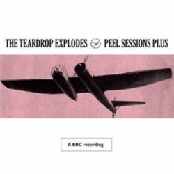 The Teardrop Explodes : Peel Sessions Plus